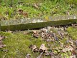 image of grave number 240921